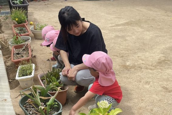 伊丹はぐくみ保育園の先輩保育士 M先生